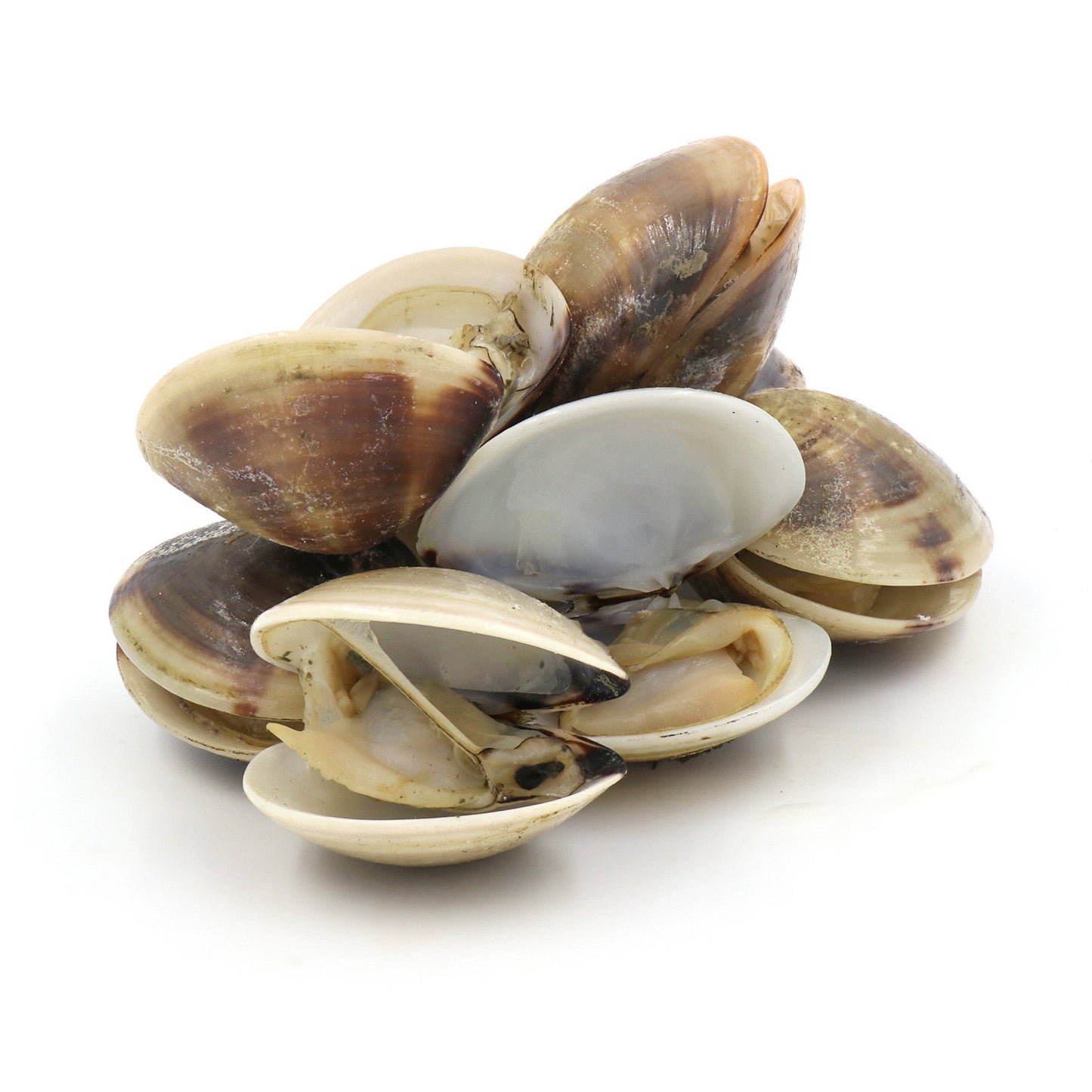 Wholesale Dix Farms Little Neck Clams- Bulk