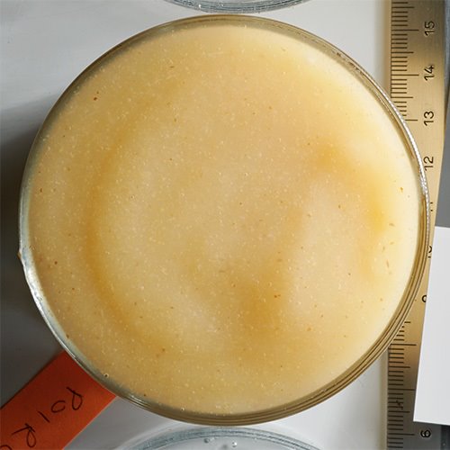 Wholesale Boiron 100% Pear Puree 1kg- Bulk