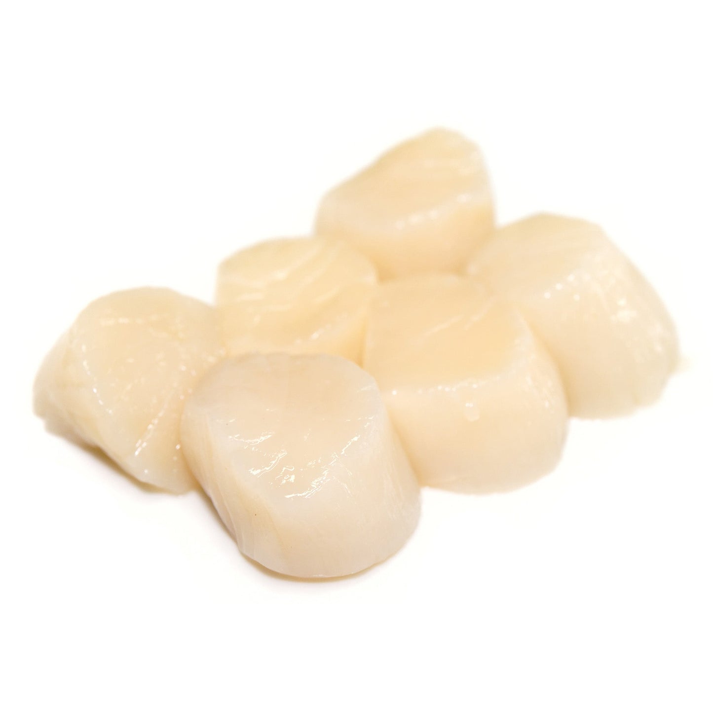 Wholesale Dix Farms Sea Scallops Dry U/12 8lb- Bulk