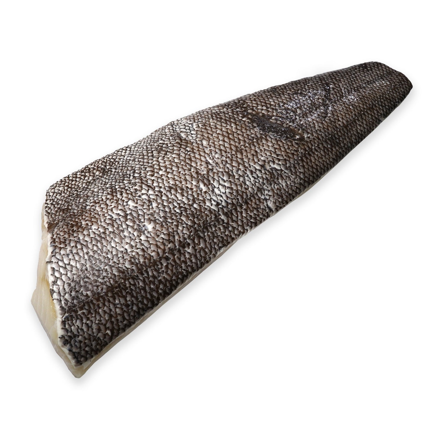 Wholesale Dix Farms Sea Bass Chillean Fillet Skin-On 6.5lb- Bulk