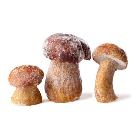 Wholesale White Toque Each Whole Porcini Mushroom- Bulk