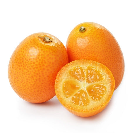 Wholesale BoxNCase Case Kumquat- Bulk