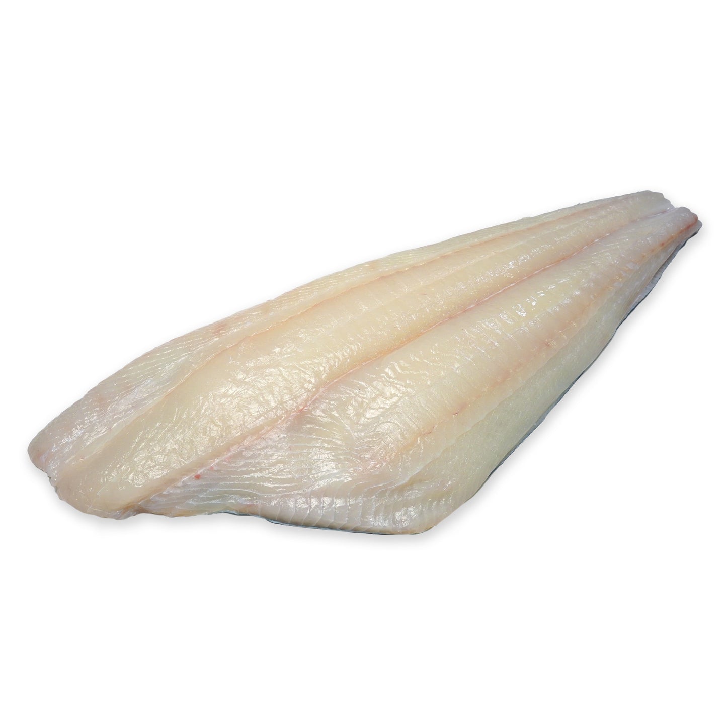 Wholesale Dix Farms Atlantic Halibut Fillet Skin-Off, 5.5 Lb 5lb- Bulk