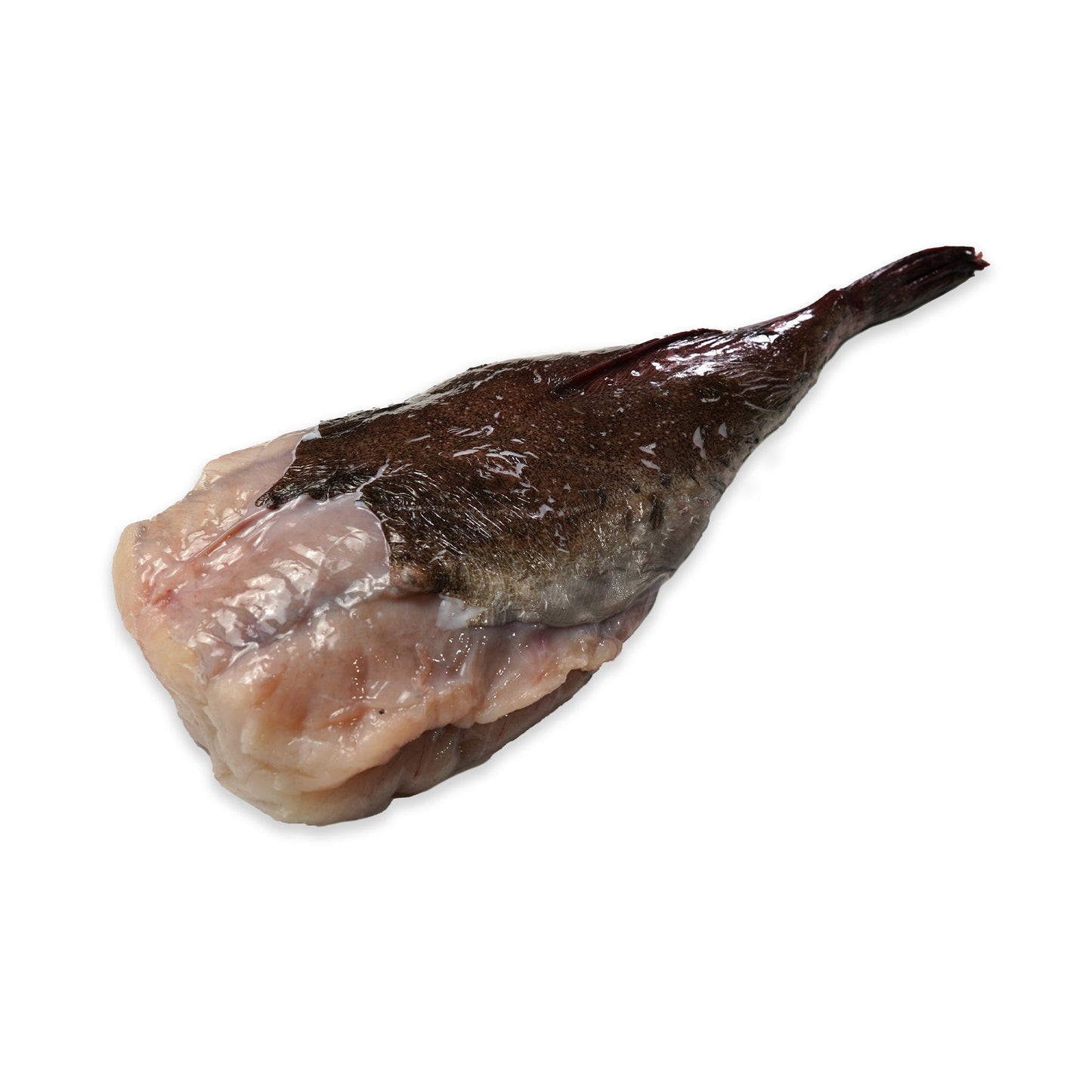 Wholesale Dix Farms Monkfish Tail Whole 4 Lb 5lb- Bulk