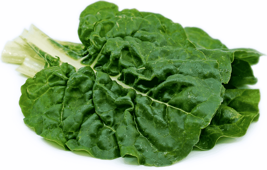 Wholesale BoxNCase Case Green Swiss Chard- Bulk