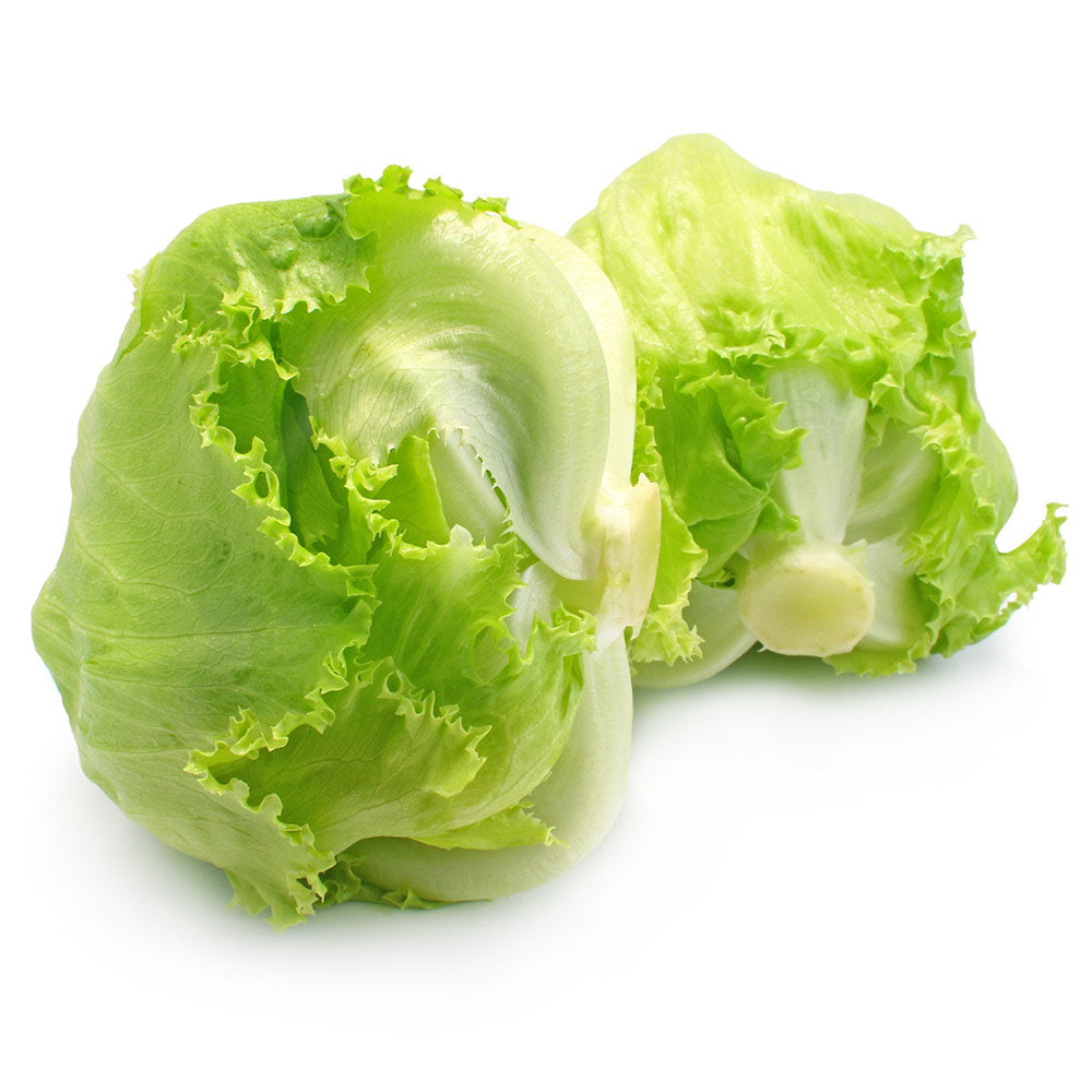 Wholesale BoxNCase Case Baby Iceberg Lettuce- Bulk