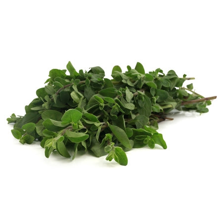 Wholesale Produce Exp Case Marjoram- Bulk