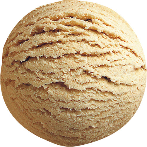 Wholesale Bindi Gianduia Gelato | 1.24 gl- Bulk