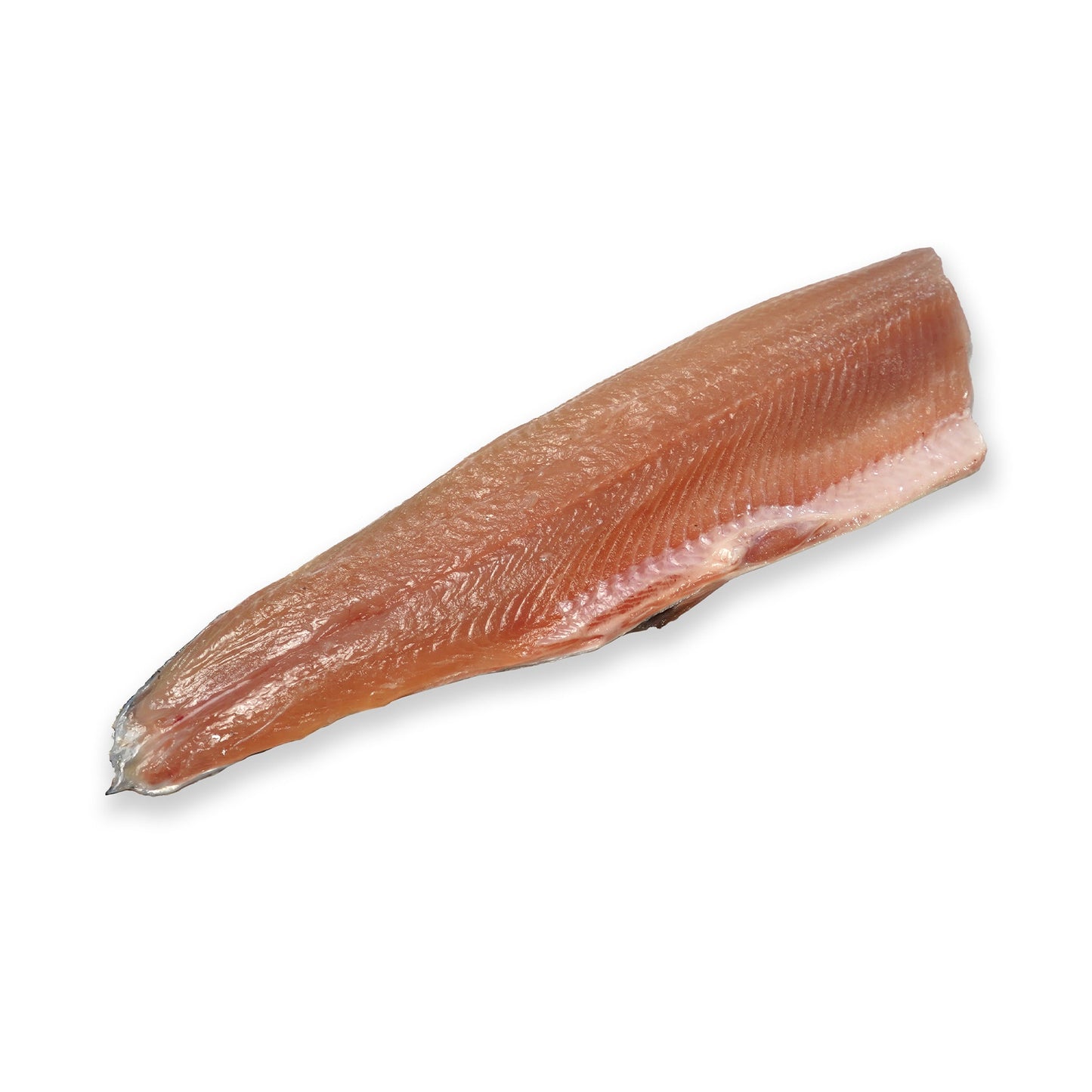 Wholesale Loch Etive Stealhead Ocean Trout Fillet Skin-on, 2.5 Lb 10lb- Bulk