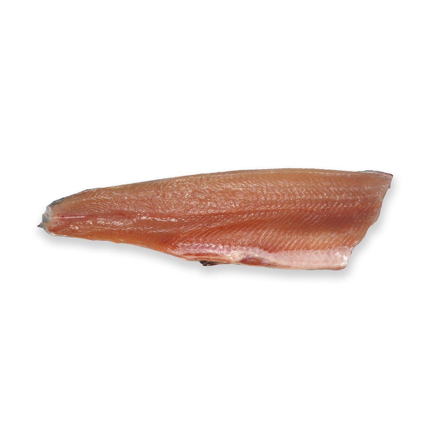 Wholesale Loch Etive Stealhead Ocean Trout Fillet Skin-Off, 2.5 Lb 10lb- Bulk