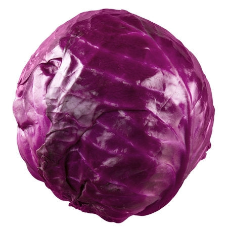 Wholesale BoxNCase Case Red Cabbage- Bulk