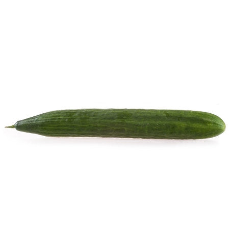 Wholesale Topline Case Hot House Seedless Cucumber- Bulk