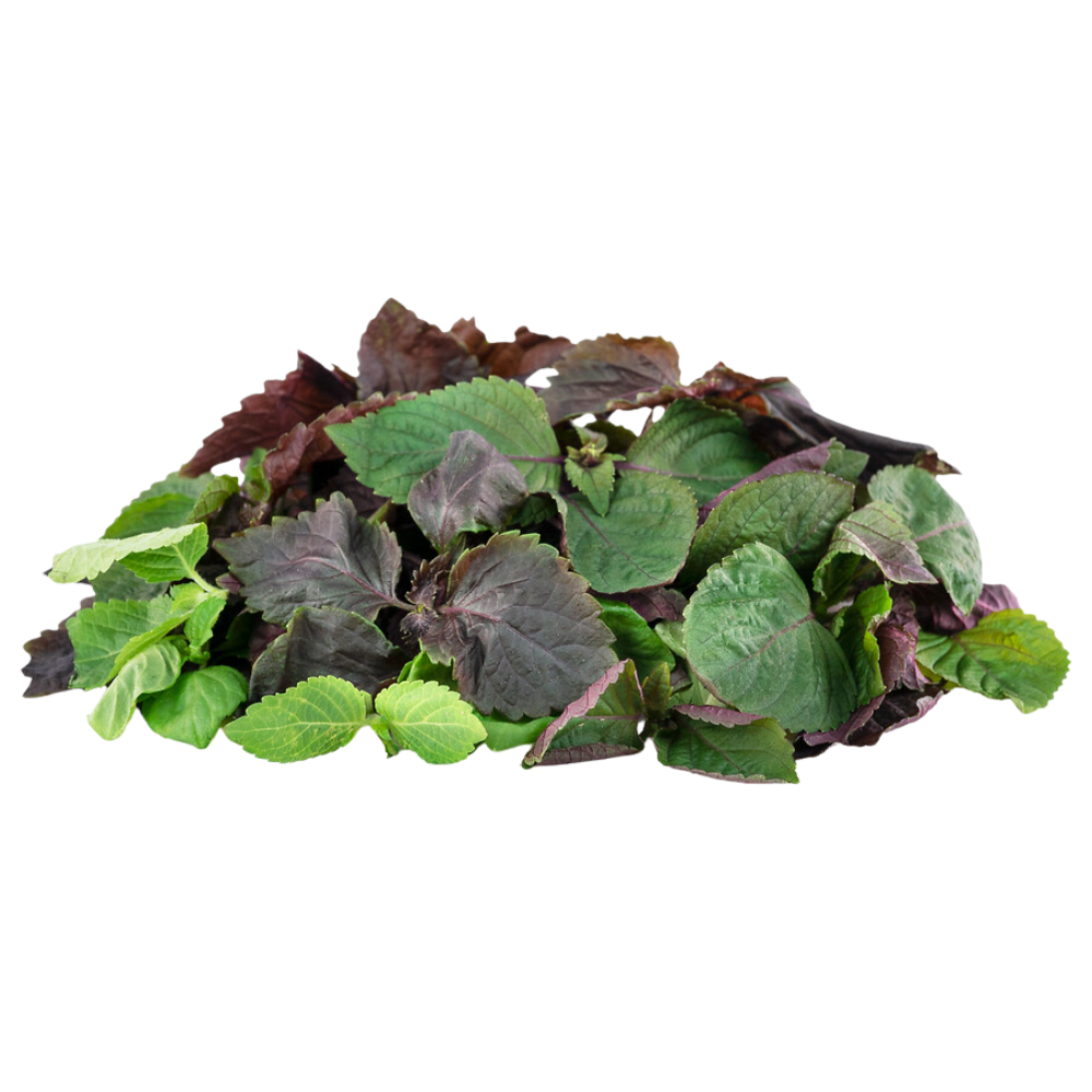 Wholesale Shiso Mix | 8 oz.- Bulk