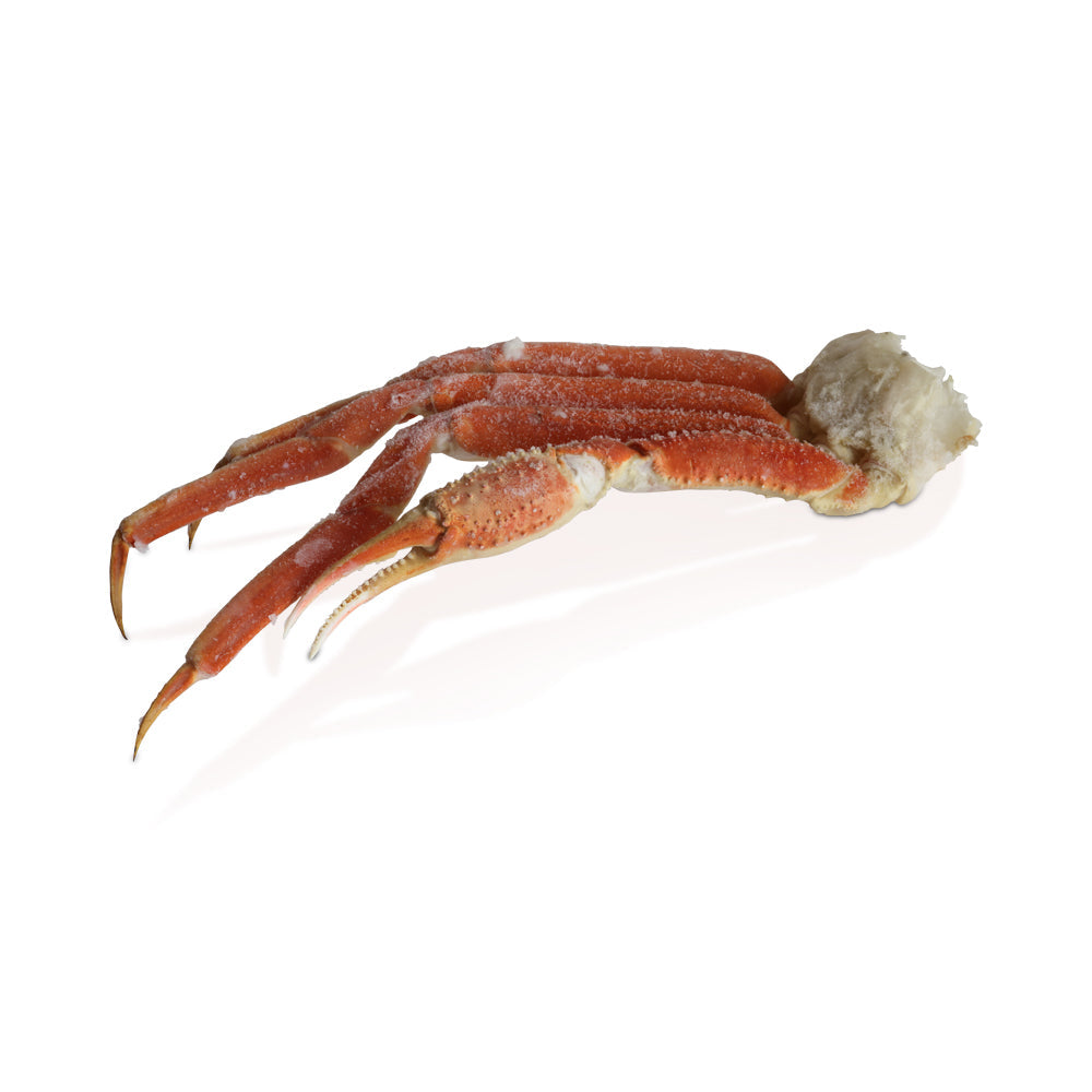 Wholesale Snow Crab Clusters | 11 lb- Bulk
