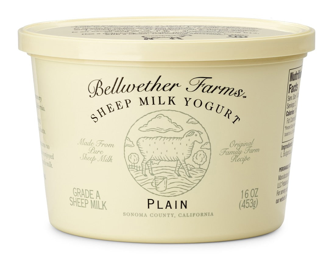Wholesale Bellwether Sheep Yogurt Plain 16Oz- Bulk