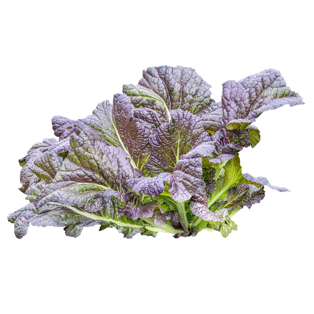 Wholesale Red Mustard Greens | 3 lb- Bulk