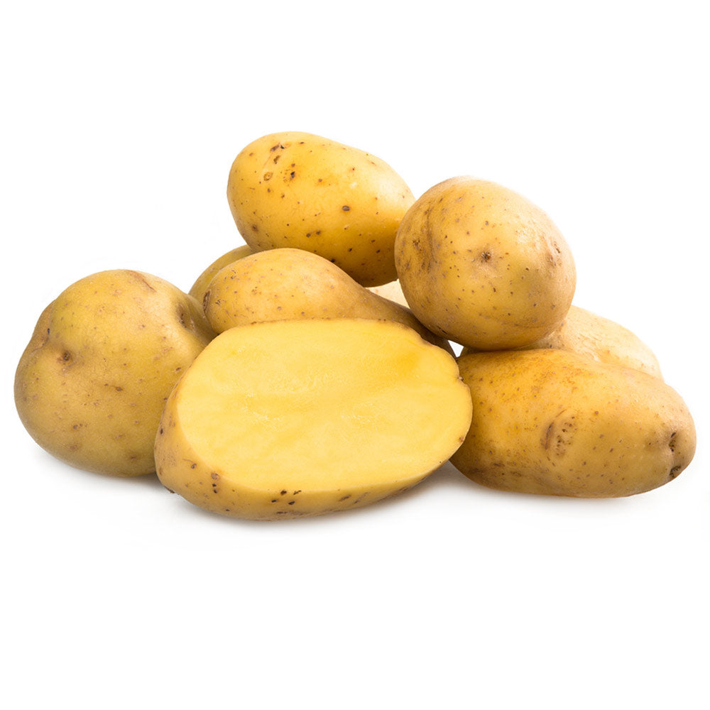 Wholesale BoxNCase Case Organic Yukon Gold Potato- Bulk