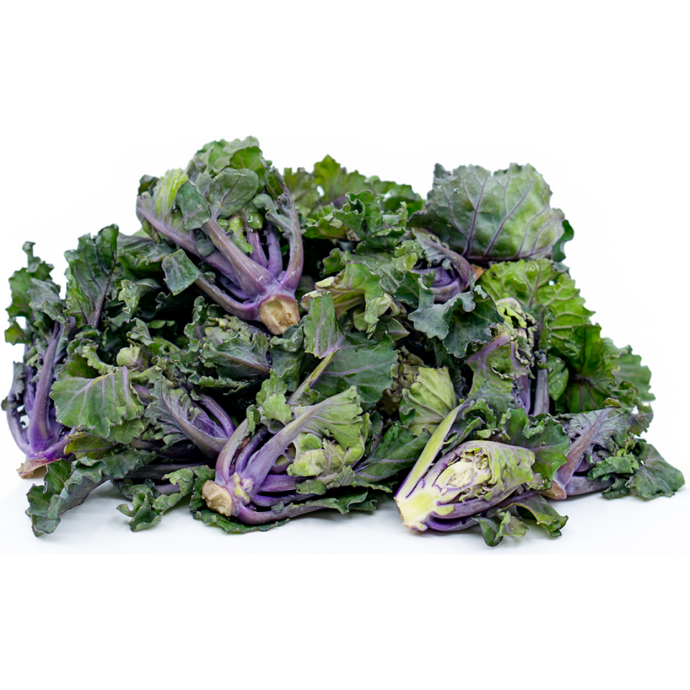 Wholesale Kale Sprouts | 4 lb- Bulk