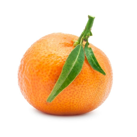 Wholesale BoxNCase Case Tangerine 80Ct- Bulk