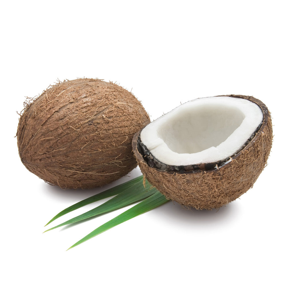 Wholesale Organic Coconut | 30/40 ct- Bulk