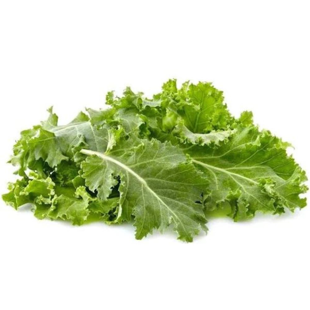 Wholesale Taylor Farms Baby Kale | 1.5 lb- Bulk