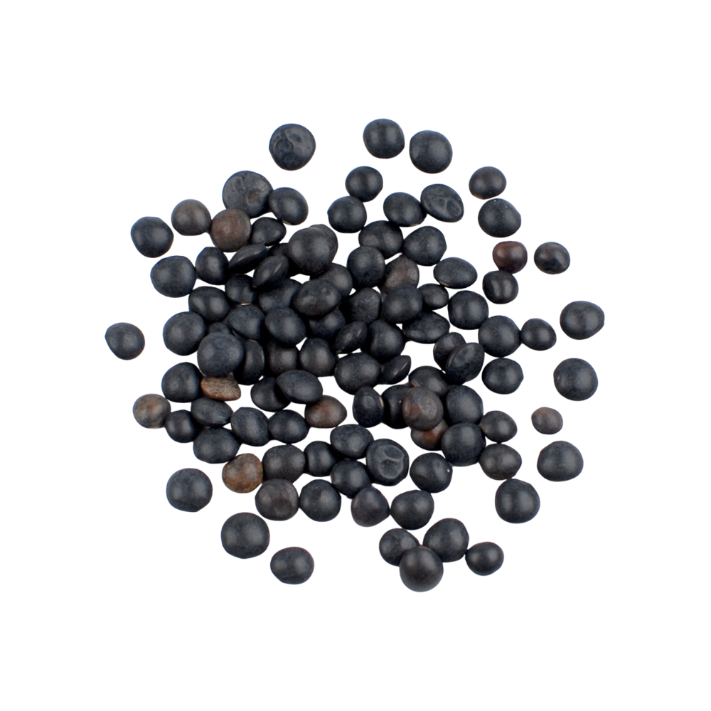 Wholesale BoxNCase Case Beluga Lentil Beans- Bulk