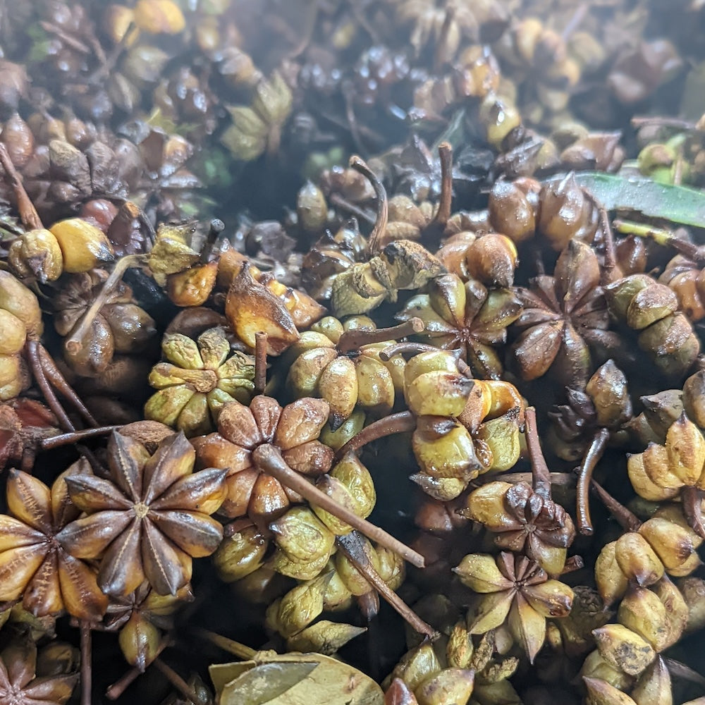 Wholesale Burlap & Barrel Whole Smoked Star Anise 5oz- Bulk