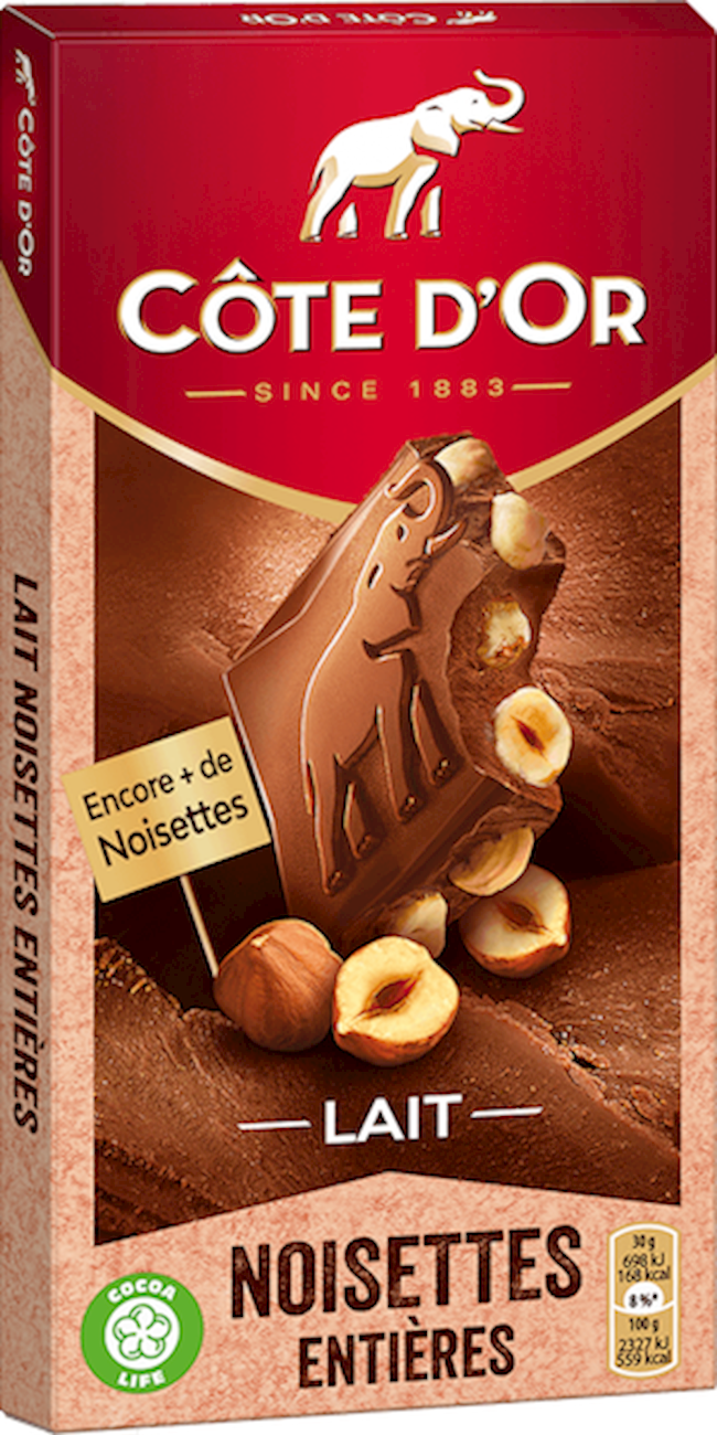 Wholesale Cote D'or Milk Chocolate Blocks With Whole Hazelnuts 6.35 Oz.- Bulk