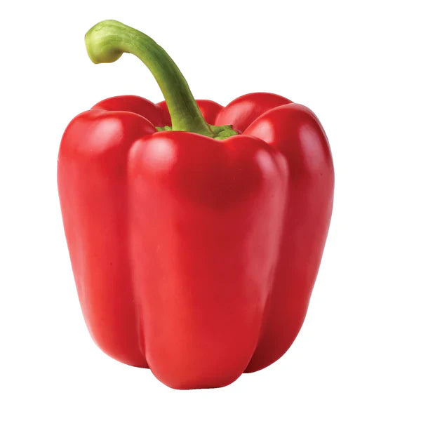 Wholesale BoxNCase Case Imported Red Peppers- Bulk