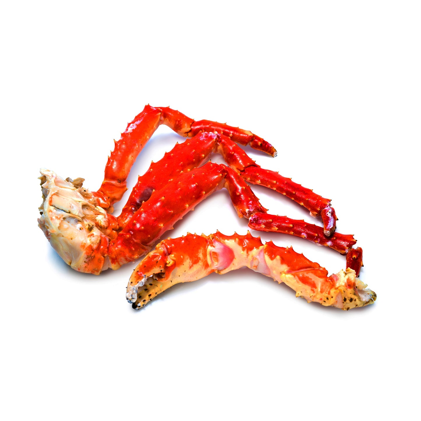 Wholesale Michaels King Crab Legs 9/12 Norwegian 10lb- Bulk