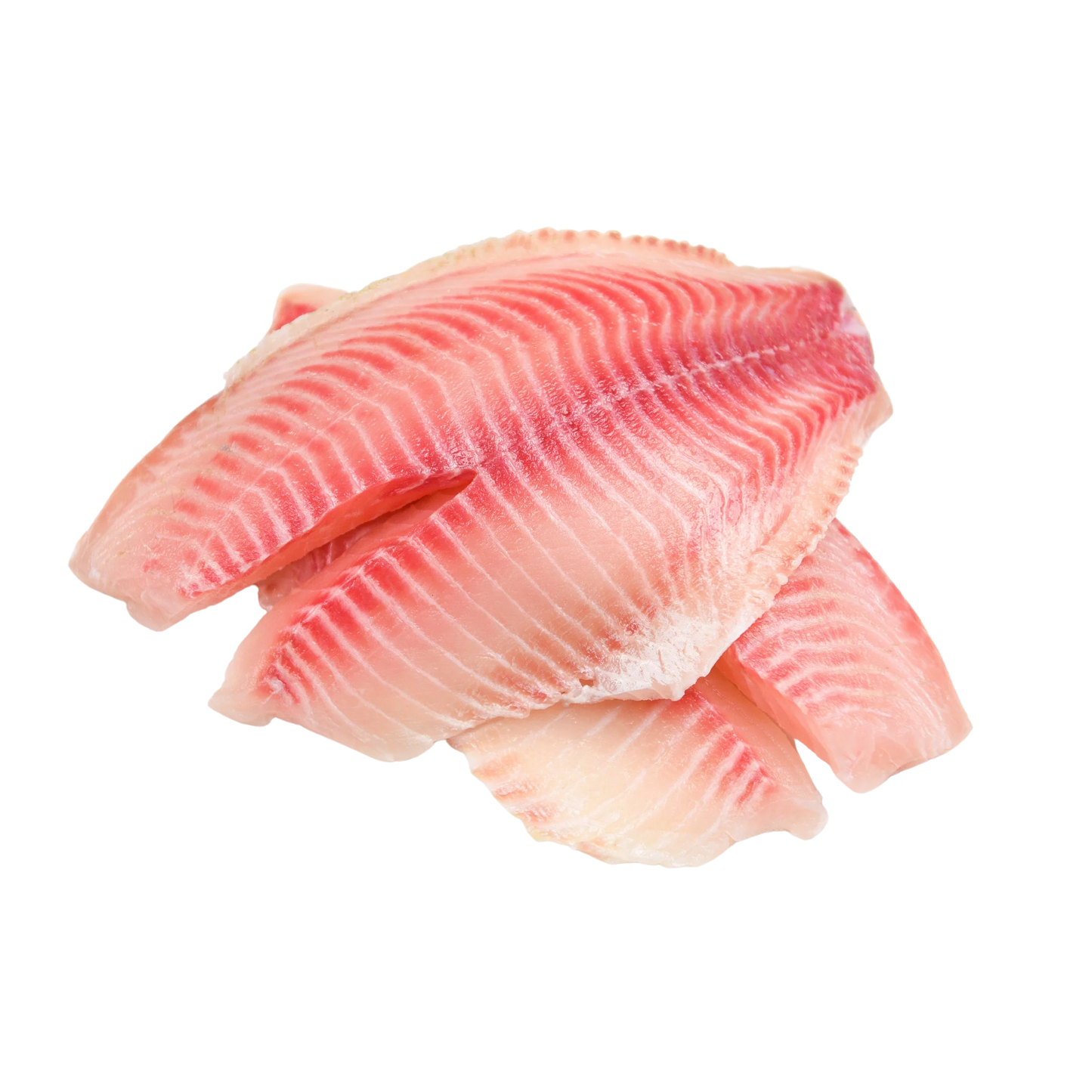 Wholesale Sea Best Case Tilapia Fillet Vacuum Packed 7/9Oz- Bulk