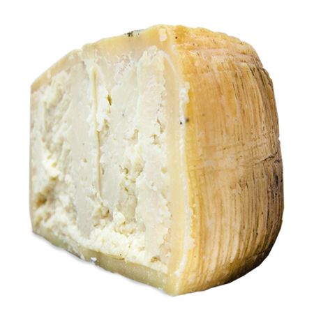 Wholesale Canestrato di Moliterno al tartufo (sheep's milk)- Bulk