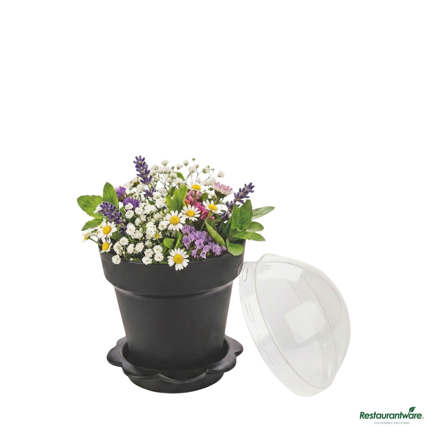 Wholesale Restaurantware 6 Oz Black Plastic Mini Flower Pot Cup - with Lid - 3" X 3" X 3"- Bulk