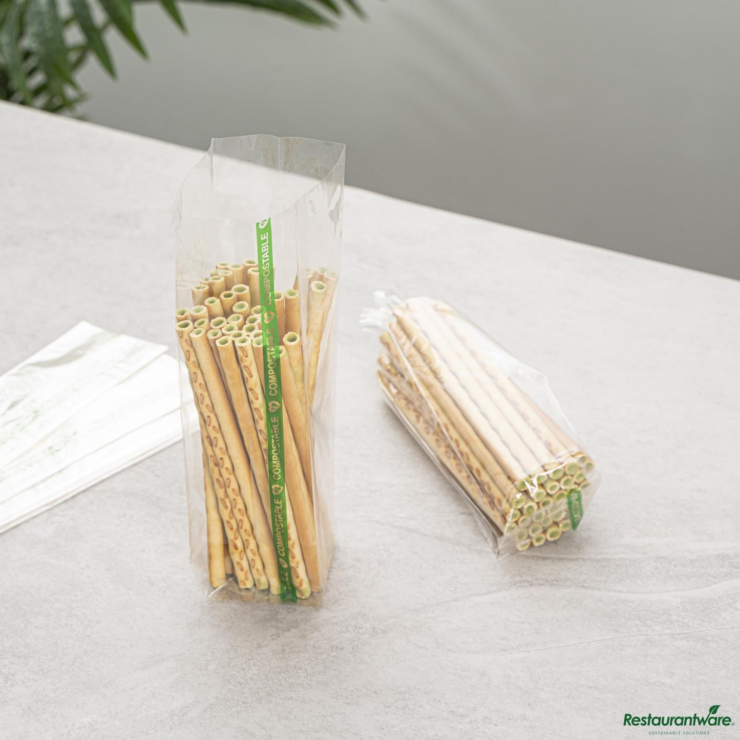 Wholesale Restaurantware Basic Nature Clear Plastic Gusset Bag - Compostable, Heat Sealable - 2" X 2" X 8.3"- Bulk