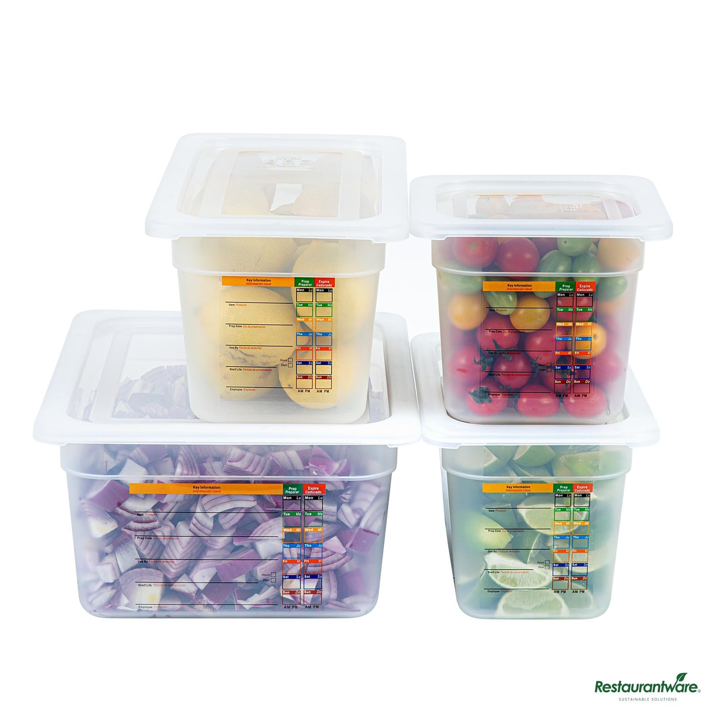 Wholesale Restaurantware 4-Piece Translucent Polypropylene Food Pan Set - 6" Deep - 16.3" X 14" X 7.9"- Bulk