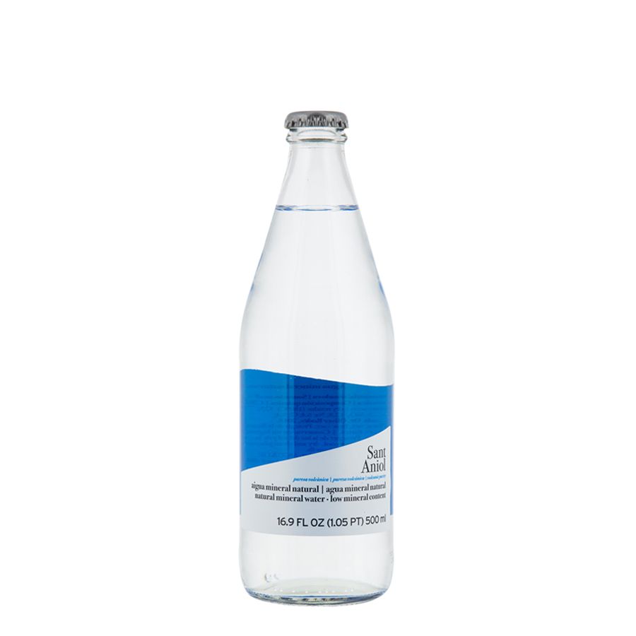 Wholesale Sant Aniol Classic Natural Mineral Water, Still (16.9 fl oz)- Bulk