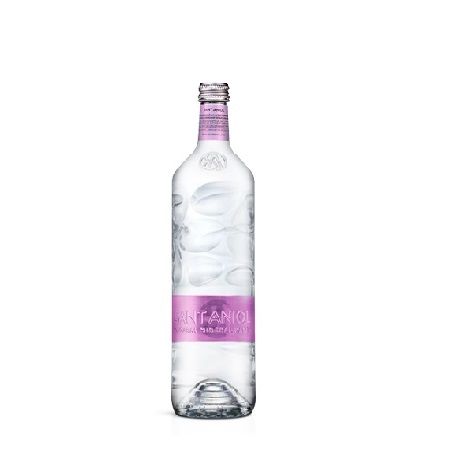 Wholesale Sant Aniol Rocks Natural Mineral Water, Sparkling- Bulk