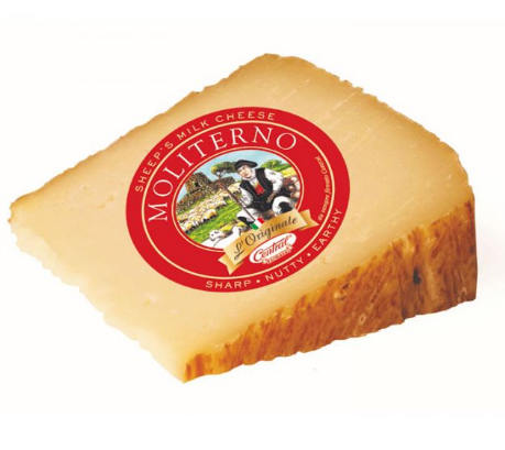 Wholesale Moliterno Plain-2ct Case Bulk