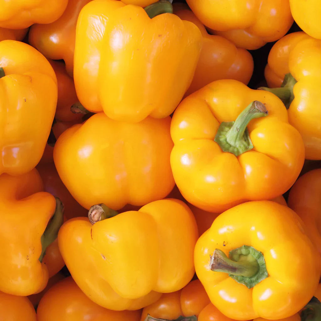 Wholesale BoxNCase Case Imported Yellow Peppers- Bulk