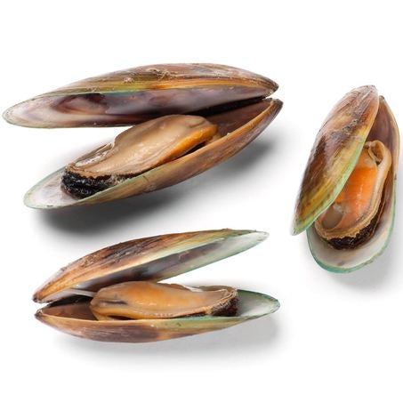 Wholesale Panapesca Each New Zealand Green Lip Mussel- Bulk