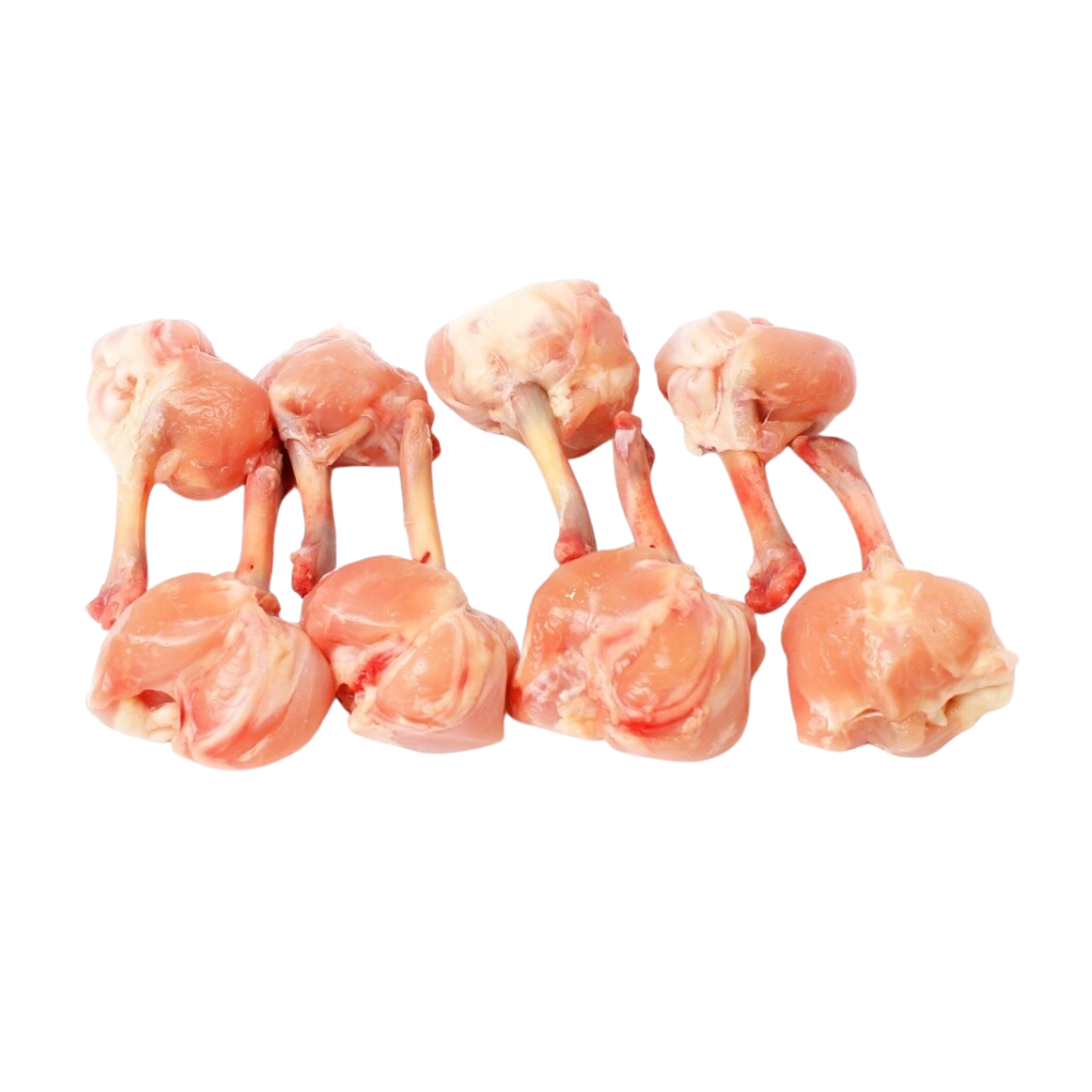 Wholesale BoxNCase Case Lollipop Chicken Wing- Bulk