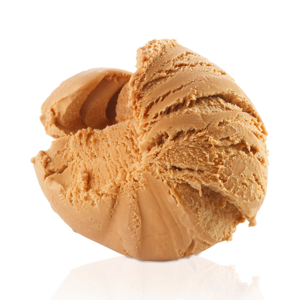 Wholesale Gelarto Dulce De Leche Gelato | 5 lt tray- Bulk
