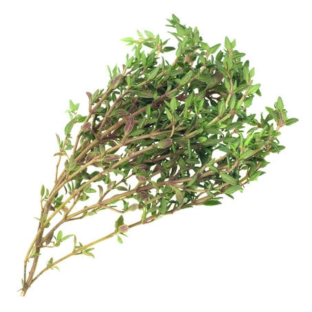 Wholesale Produce Exp Case Thyme- Bulk