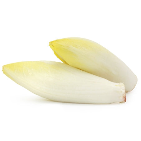 Wholesale Cooseman Case Belgium Endive- Bulk