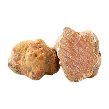 Wholesale BoxNCase Fresh White Small Truffles 4oz- Bulk