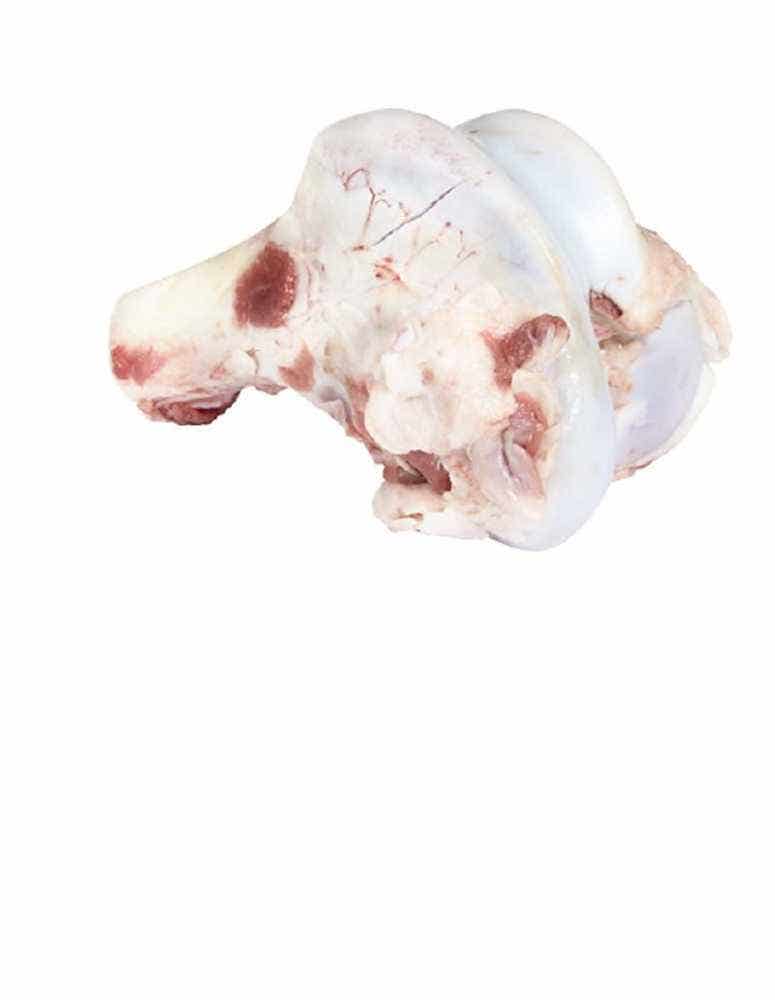 Wholesale Sobeval Marrow Bones 50 Lb- Bulk