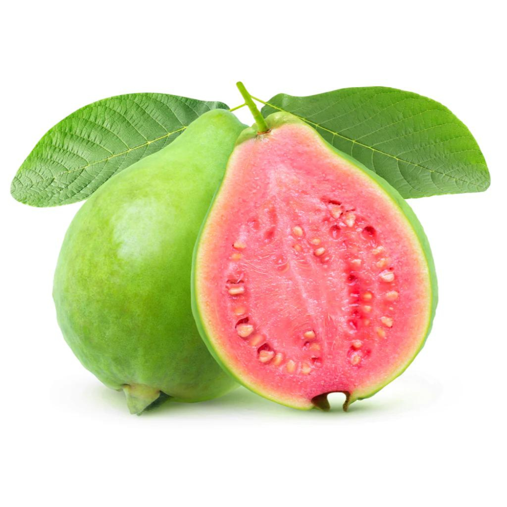 Wholesale Guava | 16 ct- Bulk