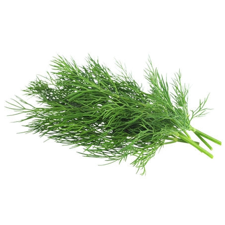 Wholesale Produce Exp Case Dill- Bulk