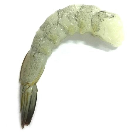 Wholesale Pacific Treasu Case 8-12 White Shrimp P&D T-On- Bulk