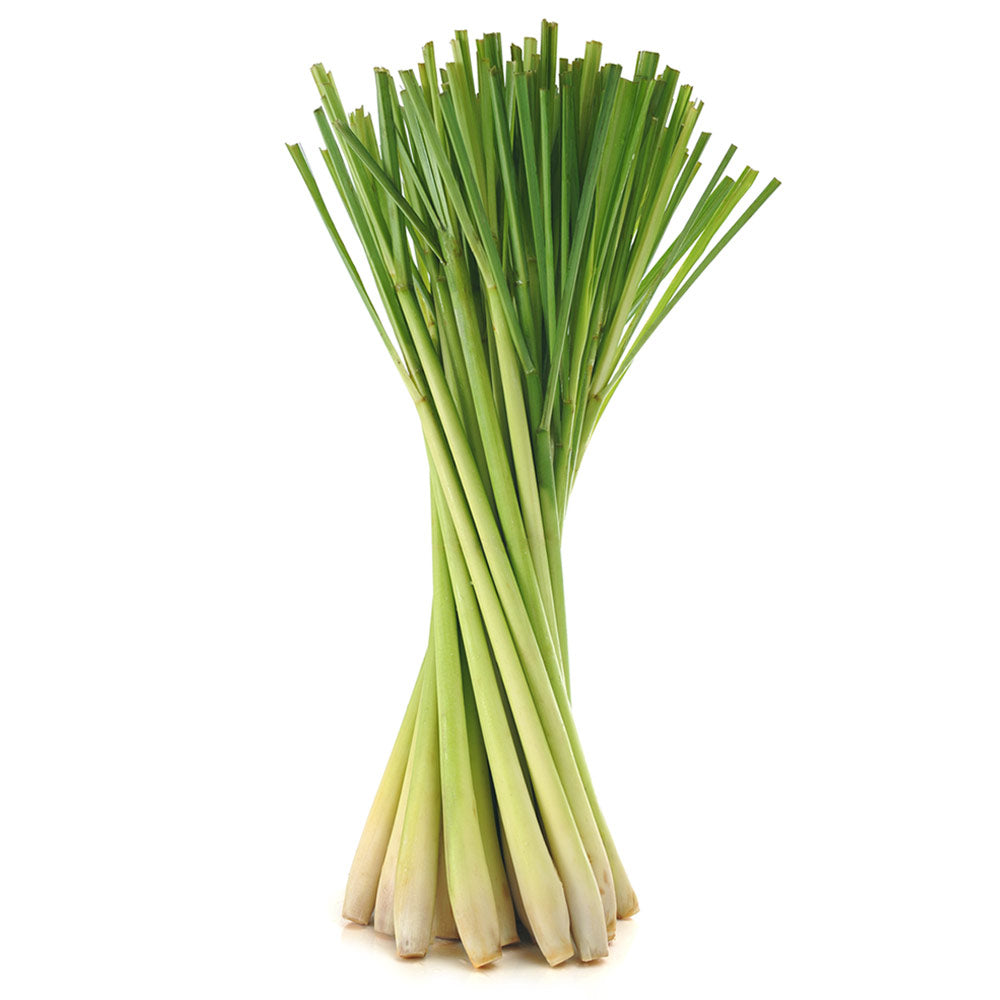 Wholesale BoxNCase Case Lemon Grass- Bulk